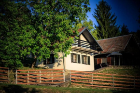 Hotels in Orahovica